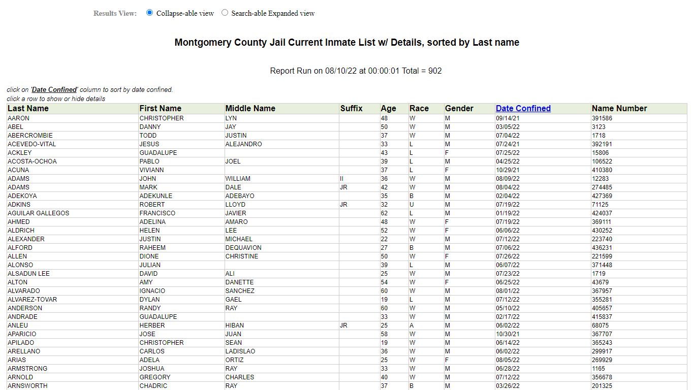 Jail Roster